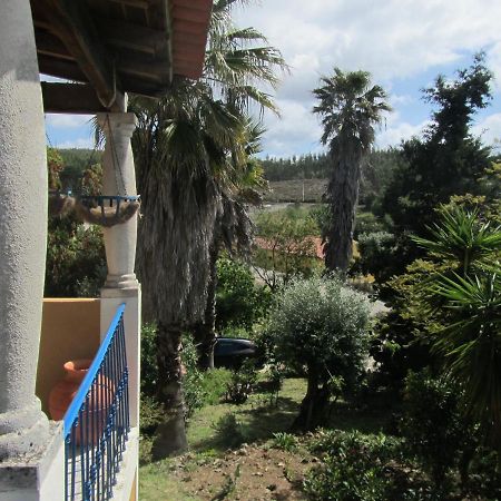 Sao Pedro de Tomar Casa Amarela 아파트 외부 사진