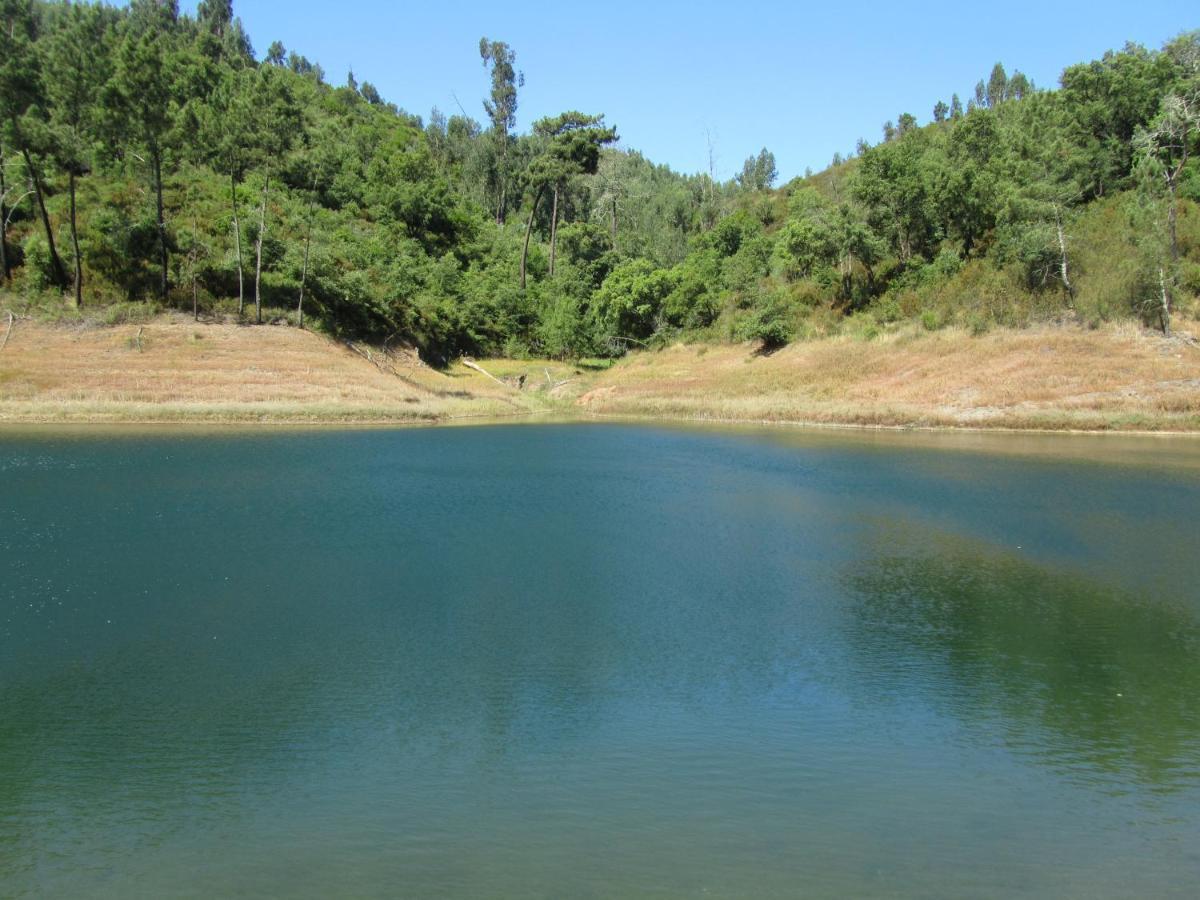 Sao Pedro de Tomar Casa Amarela 아파트 외부 사진